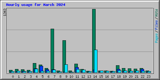 Hourly usage for March 2024