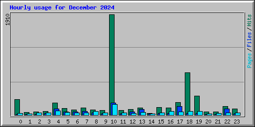 Hourly usage for December 2024