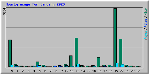 Hourly usage for January 2025